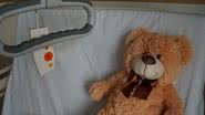 Imagem de um urso de pelúcia em uma cama de hospital - Reprodução/Pixabay/Mylene2401