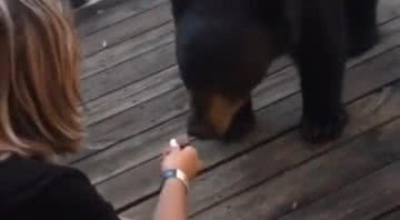 Moça alimenta urso selvagem em vídeo viral na internet - Divulgação /TikTok