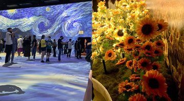 Registros da exposição 'Beyond Van Gogh' - Aventuras na História