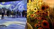 Registros da exposição 'Beyond Van Gogh' - Aventuras na História