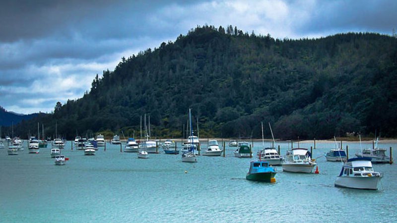 Fotografia do porto de Whangamatā, na Nova Zelândia, de onde Will Fransen partiu para pesca - Foto por Abaconda Management Group pelo Wikimedia Commons