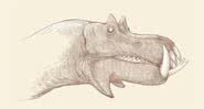 Representação de um hipopótamo - C. M. Kosemen