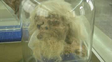 Cabeça em ótimo estado da primeira múmia encontrada - Wikimedia Commons