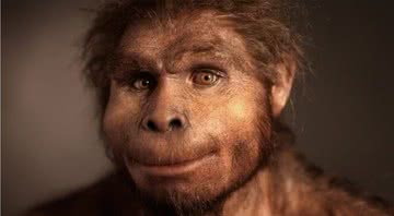 Reconstrução de rosto de Homo erectus - Crédito: Divulgação