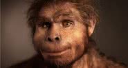 Reconstrução de rosto de Homo erectus - Divulgação