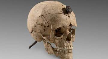 Crânio fixado com um prego - Divulgação/ Museu Arqueológico Nacional