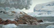Ilha na Antártida revelando o desgelo - Divulgação
