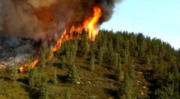 Imagem meramente ilustrativa de incêndio florestal - Wikimedia Commons