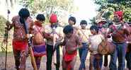 Povos indígenas Yekuana - Divulgação/Alcida R. Ramos