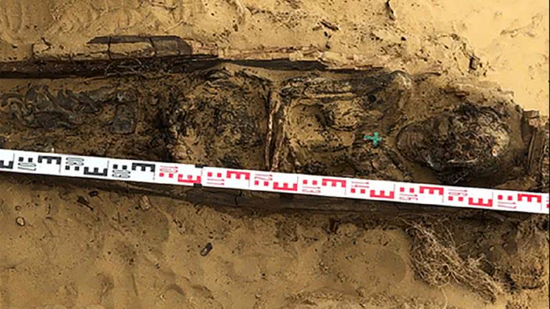 Corpo mumificado encontrado - Elena Solovyova