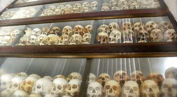 Armário empilha crânios vitimados pelo Khmer Vermelho - Divulgação / Dois pelo Mundo / Julia Furquim