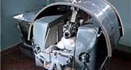 Laika estava a bordo da nave Sputnik 2 - Domínio Público