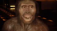  Um Australopithecus afarensis - divulg.