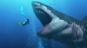 Ilustração do gigante tubarão Megalodon - Divulgação