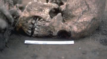 A pedra chata pode ser vista entre as mandíbulas - Historical England