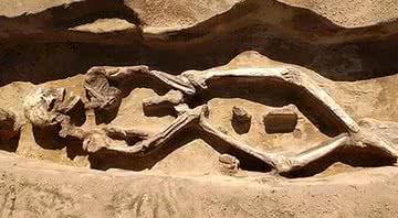 Enterro fora do comum intriga arqueólogos - Denis Volkov