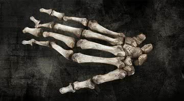 mão esqueleto - Shutterstock