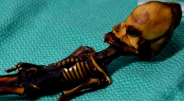 O estranho esqueleto foi apelidado de 'Ata' - Divulgação / Dr Emery Smith