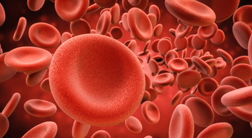Foi apenas no século 20 que a hematologia realmente progrediu - Shutterstock