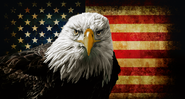 A águia de cabeça branca, ave-símbolo dos EUAv - Shutterstock