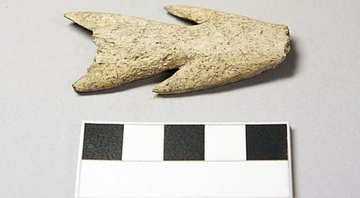 Arpão pode ter sido usado na caça de focas e aves - AOC Archaeology