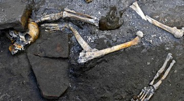 Uma das ossadas encontradas  - Reprodução / Sítio Arqueológico de Pompeia 
