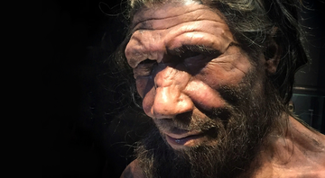Reconstrução detalhada de um Neandertal - Wikimedia Commons