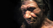 Reconstrução detalhada de um Neandertal - Wikimedia Commons
