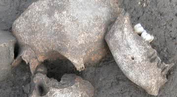 Crânios dos inimigos dos Gauleses encontrados em La Cailar, na França - Folheto