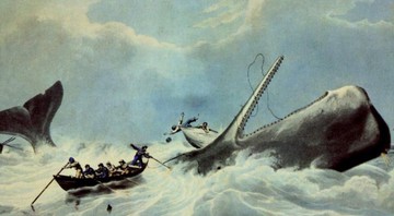 Ilustração na capa do livro Moby Dick, de Herman Melville - The Authoritative Edition/ Reprodução
