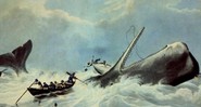 Ilustração na capa do livro Moby Dick, de Herman Melville - The Authoritative Edition/ Reprodução