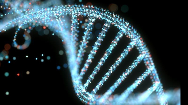 A analise de DNA foi crucial para o estudo - Getty Images