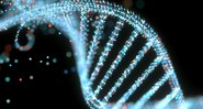 A analise de DNA foi crucial para o estudo - Getty Images