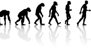 Evolução Humana - Reprodução