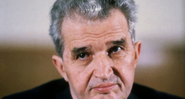 Nicolae Ceausescu - Reprodução
