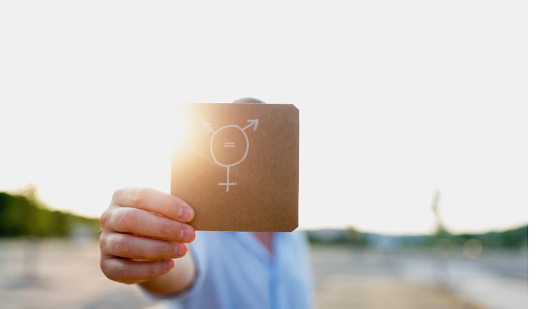 Símbolo da igualdade transgênera - Getty Images