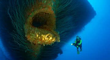 Mergulhador visita os restos do USS Saratoga - Getty Images
