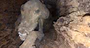 A múmia do cão Stuckie - Divulgação/Southern Forest World