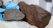 O meteorito de aproximadamente 4,6 bilhões de anos - Museu de Melbourne
