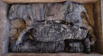 Múmias de filhote de leão são encontradas em grande descoberta na necrópole de Saqqara, no Egito - Divulgação / Facebook do Ministério de Antiguidades do Egito