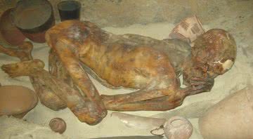 A múmia apelidada como Ginger - Wikimedia Commons