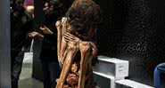 A impressionante múmia de Pachacamac - Divulgação