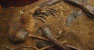 Parte superior do corpo da múmia de Windeby I - Wikimedia Commons