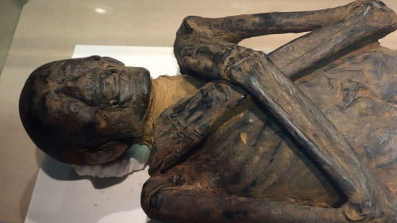A múmia de Ankhefenmut - Divulgação