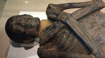 A múmia de Ankhefenmut - Divulgação