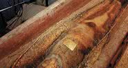 A múmia "persa" envolvida no caso - Divulgação