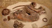 A múmia usada no estudo - Divulgação / Raffaella Bianucci da Universidade de Turim