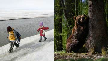 Crianças Inupiat eskimo, parte de populações nativas do Alasca, brincando em 2006 e urso pardo em 2022, na Ucrânia - Justin Sullivan/Getty Images e Leon Neal/Getty Images