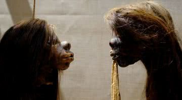 Fotografia de cabeças encolhidas quando estavam em exibição. - Divulgação/ Museu Pitt Rivers