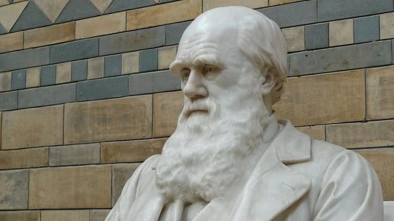 Fotografia de estátua de Charles Darwin - Divulgação/Pixabay